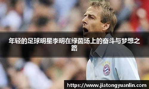 年轻的足球明星李明在绿茵场上的奋斗与梦想之路